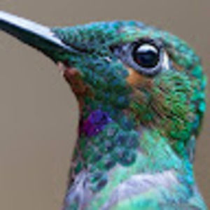 Meet your Posher, Keith